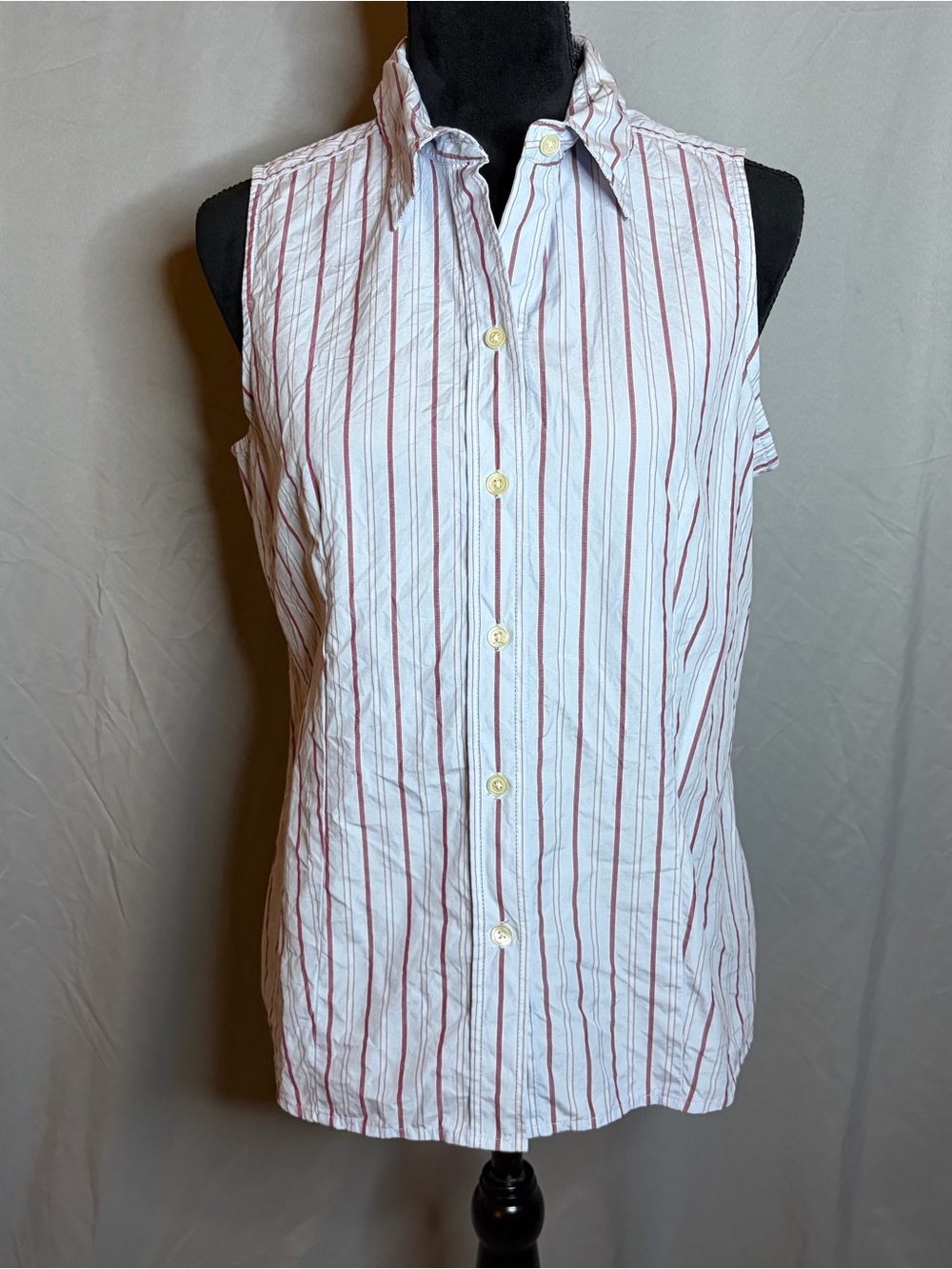 GAP Light Blue Sleeveless Button-Up Blouse with Red Stripes